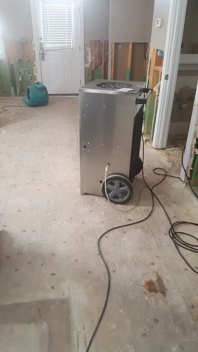 South Walton Carpet Restoration & Total Cleaning Service, LLC Picture 2