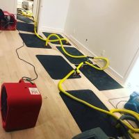 Ready Restoration ico