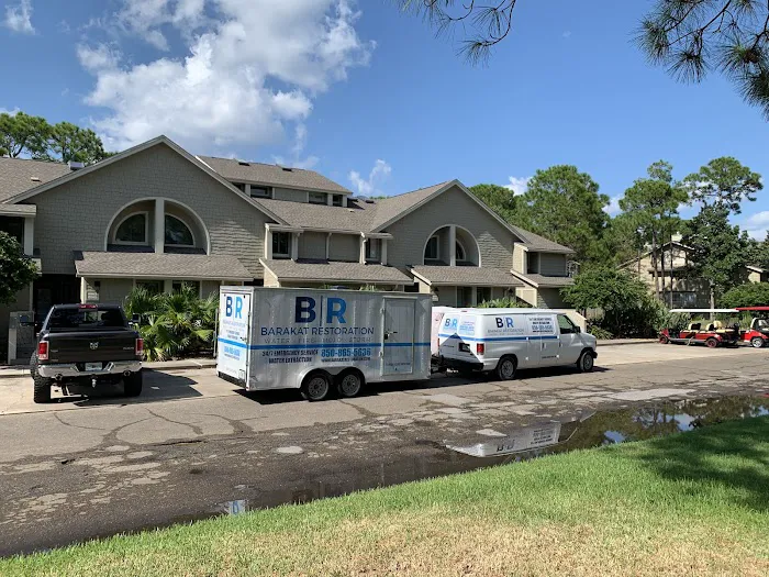 Barakat Restoration Picture 6