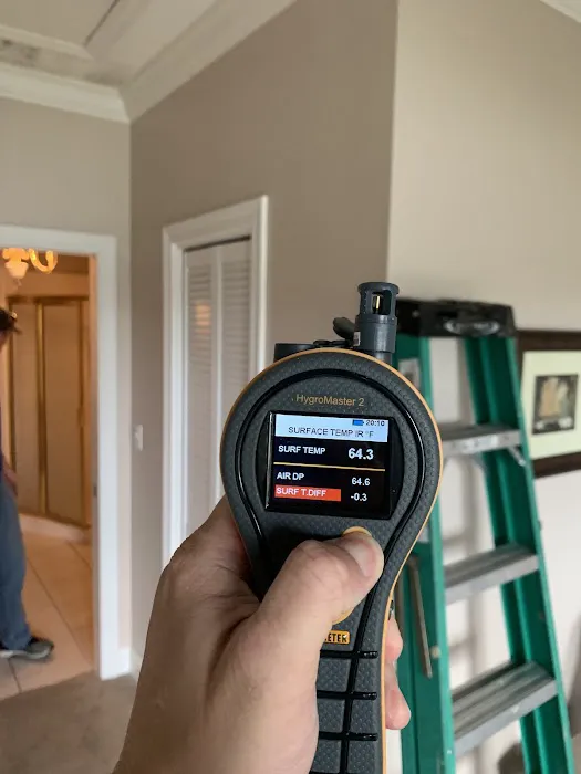 Barakat Restoration Picture 4