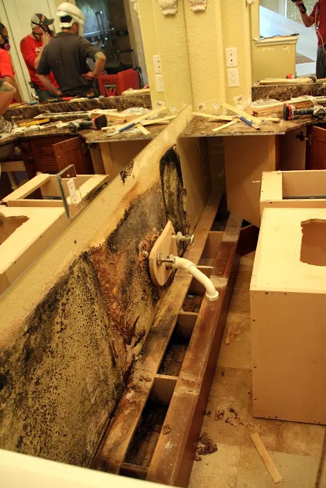 APEX Disaster Specialists Picture 9