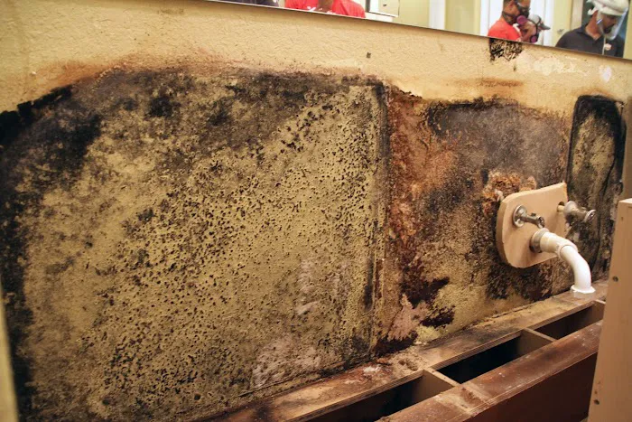 APEX Disaster Specialists Picture 7