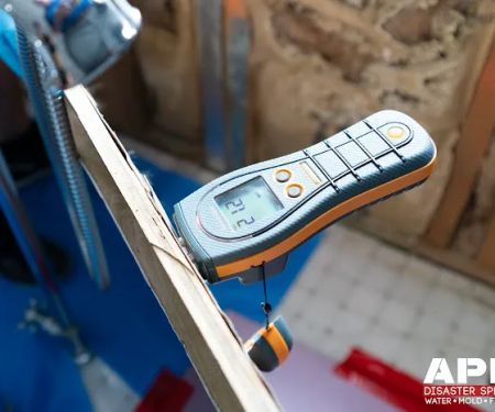 APEX Disaster Specialists