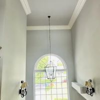 Planet Painting 24/7 llc ico