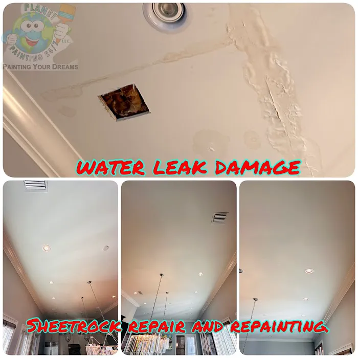 Planet Painting 24/7 llc Picture 8