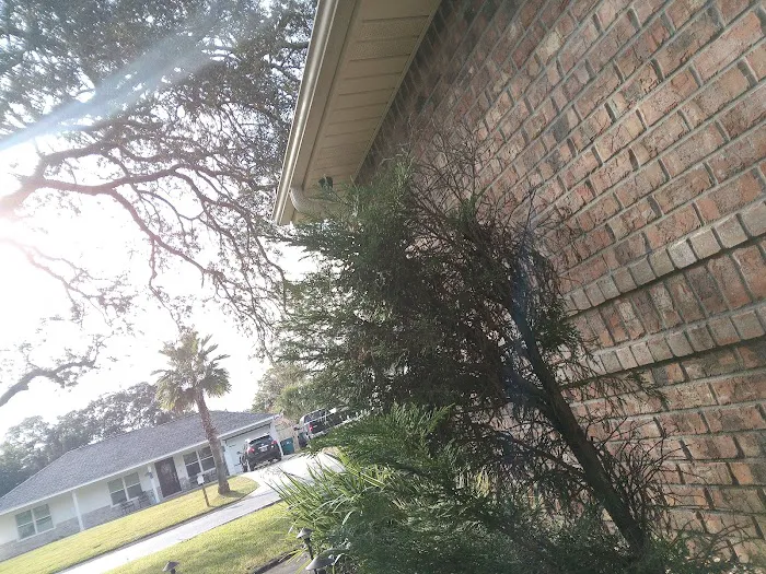 Preferred Environmental Solutions, Inc. Picture 7