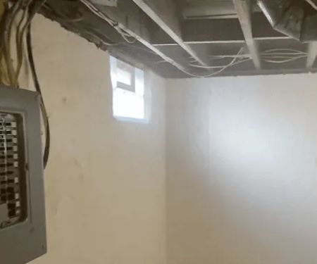 Panama City Beach Mold Removal Pros