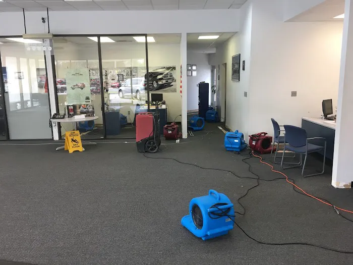 KG Restoration Picture 4