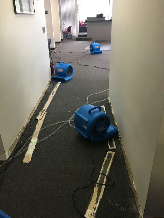 KG Restoration Picture 9