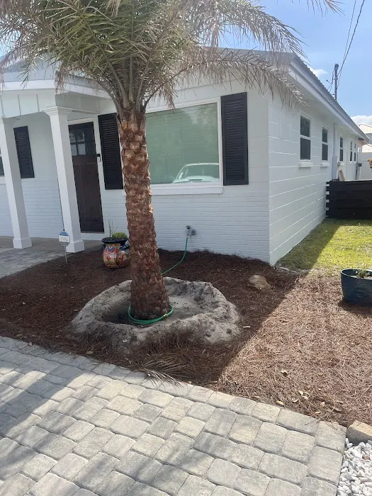 Brush Strokes Painting Picture 6