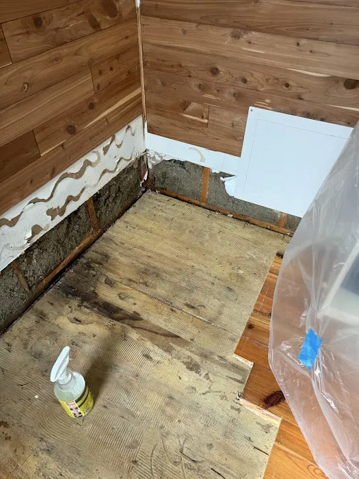 Daystar Cleaning & Restoration Picture 3