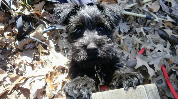 Daystar Cleaning & Restoration Picture 9