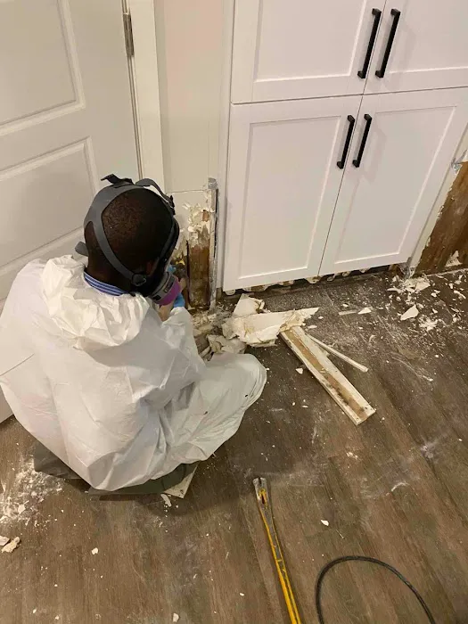 Flood Pros USA Picture 6