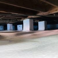 Apex Foundation Specialists ico