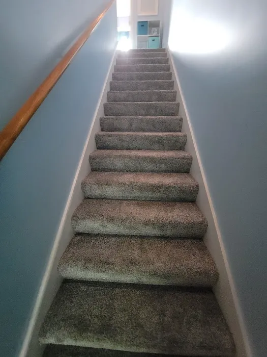 Stanley Steemer Picture 10