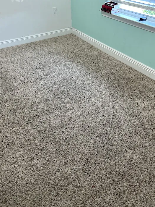 Stanley Steemer Picture 8