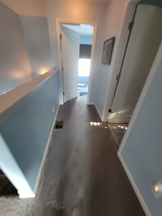 Stanley Steemer Picture 2