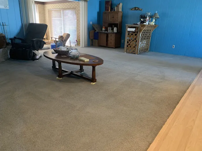 Stanley Steemer Picture 4