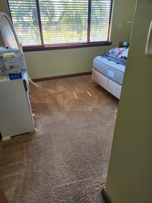 Stanley Steemer Picture 1