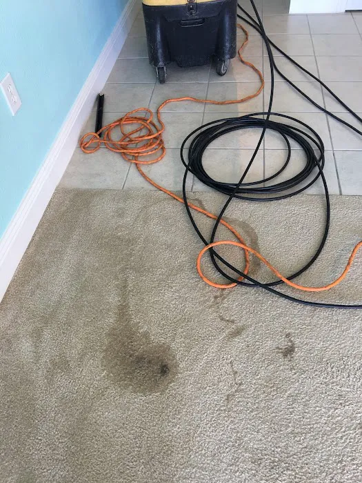 Stanley Steemer Picture 9