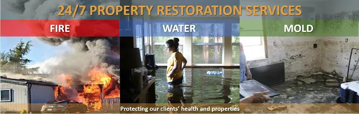 Mold Expert Testing & Remediation Removal Solution Service Picture 1