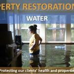 Mold Expert Testing & Remediation Removal Solution Service