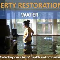 Mold Expert Testing & Remediation Removal Solution Service ico