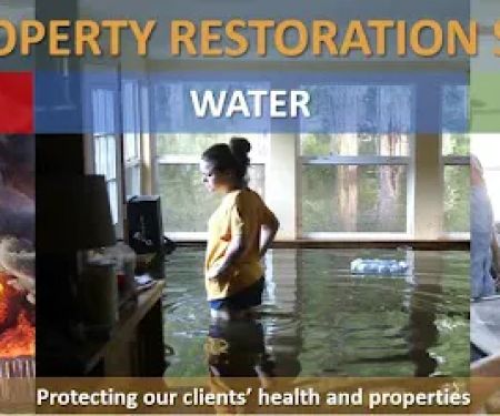 Mold Expert Testing & Remediation Removal Solution Service