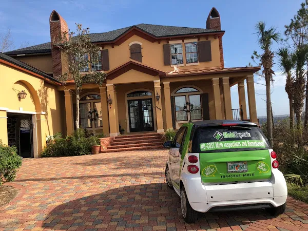 Mold Expert Testing & Remediation Removal Solution Service Picture 5