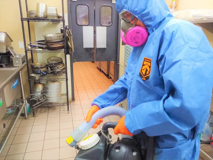 Mold Expert Testing & Remediation Removal Solution Service Picture 4