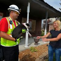 1-800-BOARDUP of Dothan, AL ico