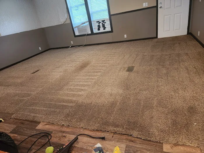 Stanley Steemer Picture 8