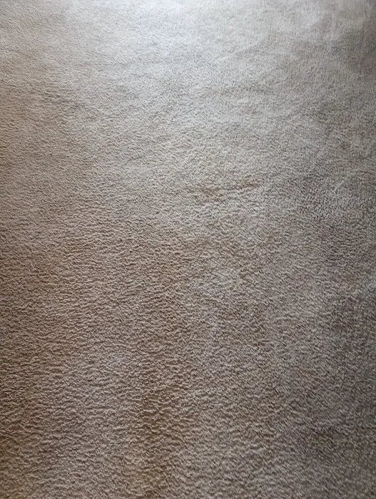 Stanley Steemer Picture 7