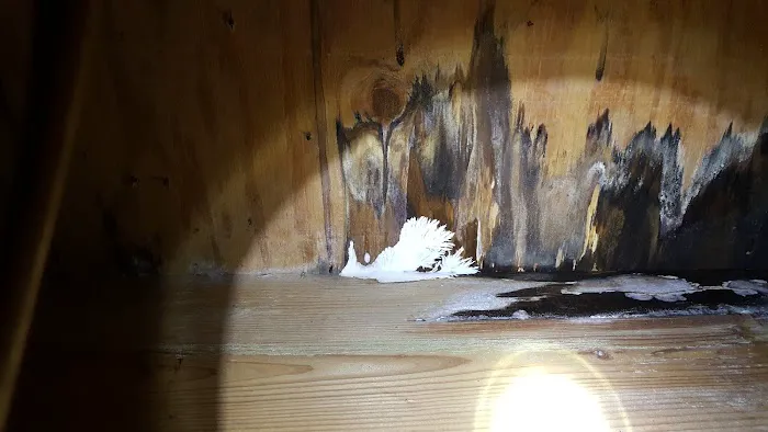 Indoor Environmental Health Systems, LLC Picture 1