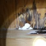 Indoor Environmental Health Systems, LLC