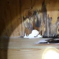 Indoor Environmental Health Systems, LLC ico