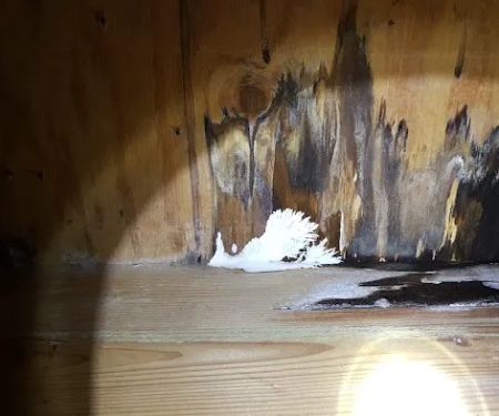 Indoor Environmental Health Systems, LLC