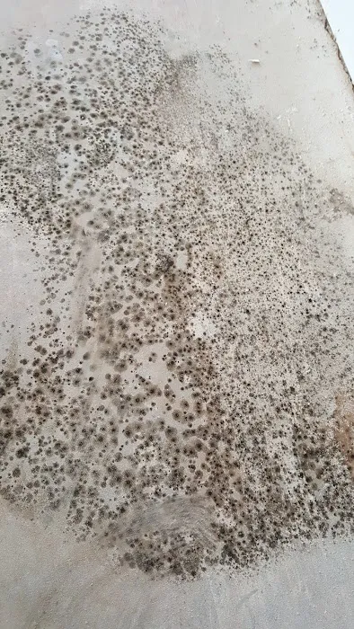 Indoor Environmental Health Systems, LLC Picture 4