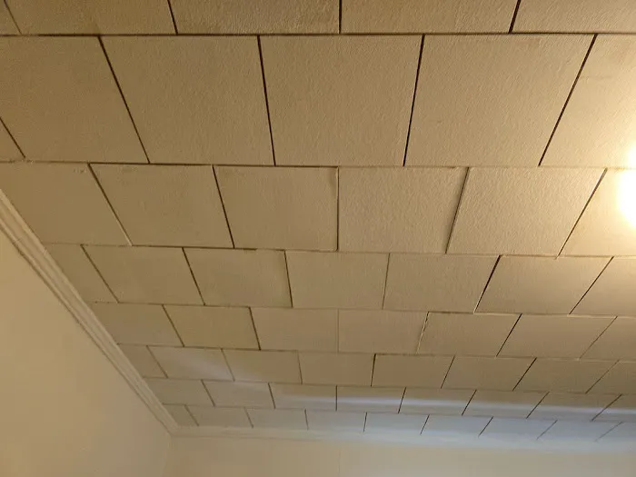 Five Star Painting of Dothan Picture 7