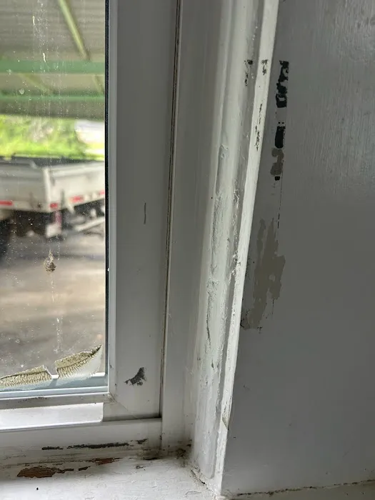 Five Star Painting of Dothan Picture 5