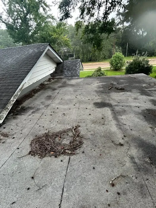 Five Star Painting of Dothan Picture 9