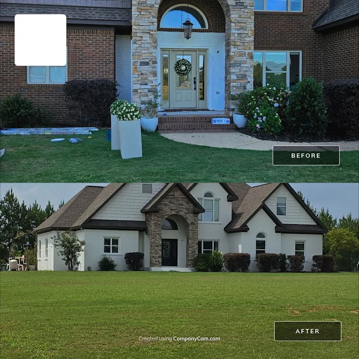 Five Star Painting of Dothan Picture 10