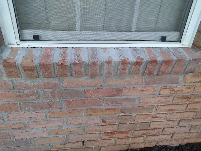 Paul Davis Restoration of Tallahassee Picture 7