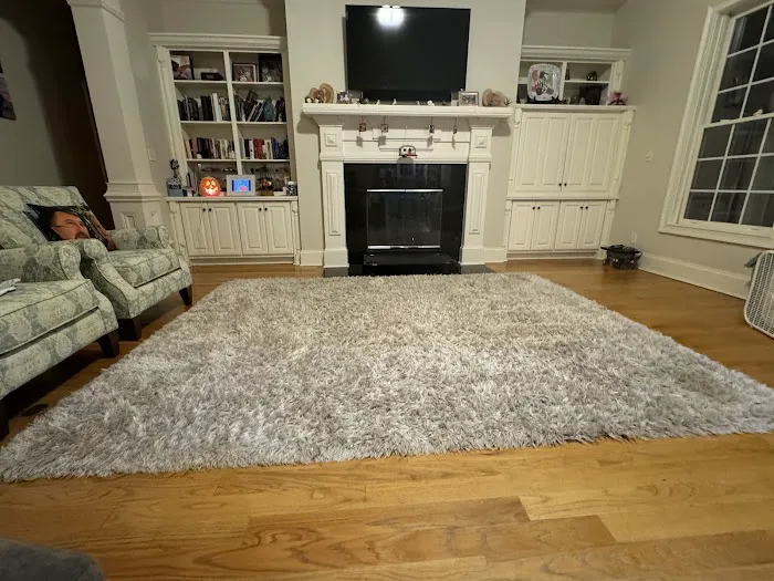 Stanley Steemer Picture 4