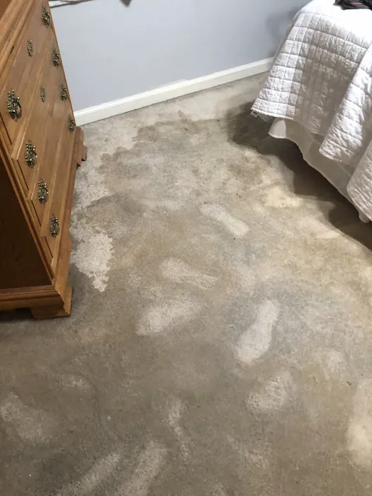 Extreme Carpet Care & Restoration Picture 7