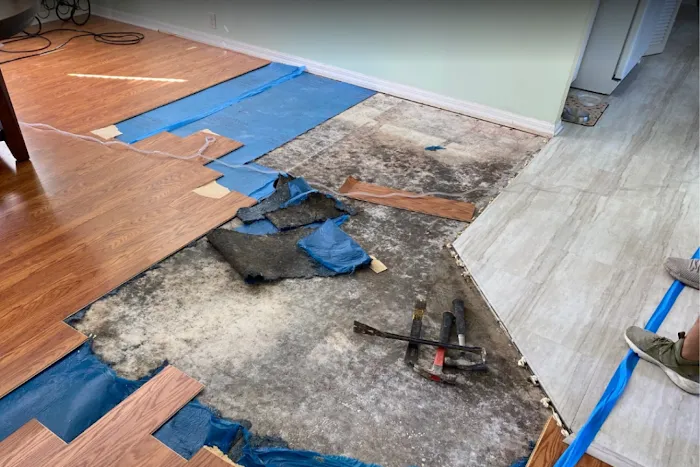 The Healthy Environments Picture 3