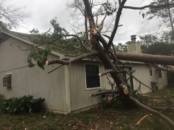 Southern Technologies Picture 5