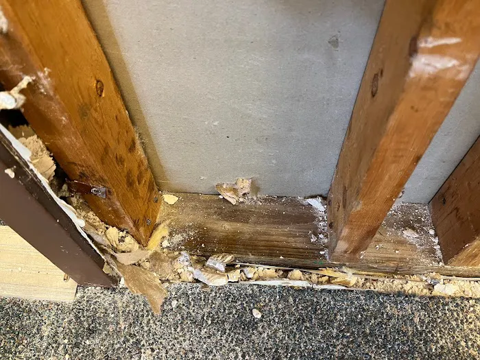 SERVPRO of North Leon County Picture 6