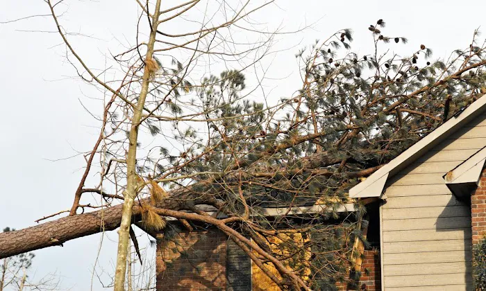 First Response Services Picture 2