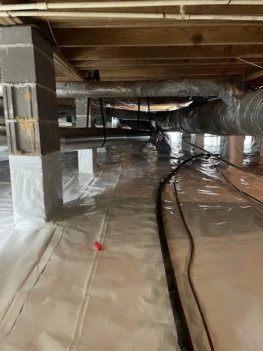 Speedy Response Picture 4